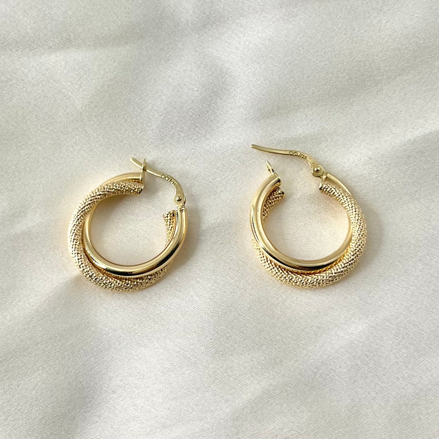Double Hoop Earrings ER152