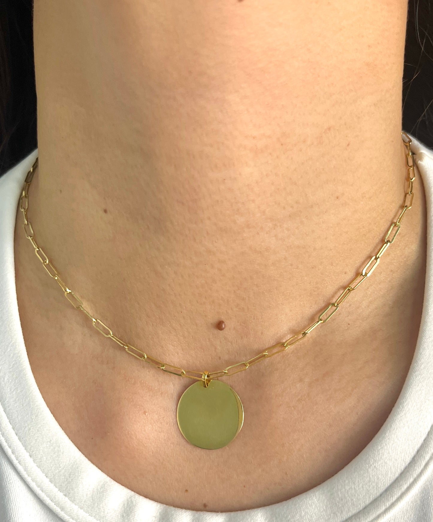 Coin Paperclip Necklace NL167
