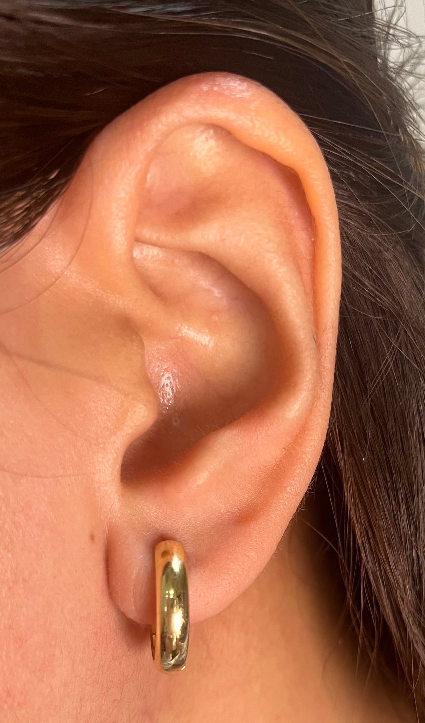 Plain Creole Earrings ER154