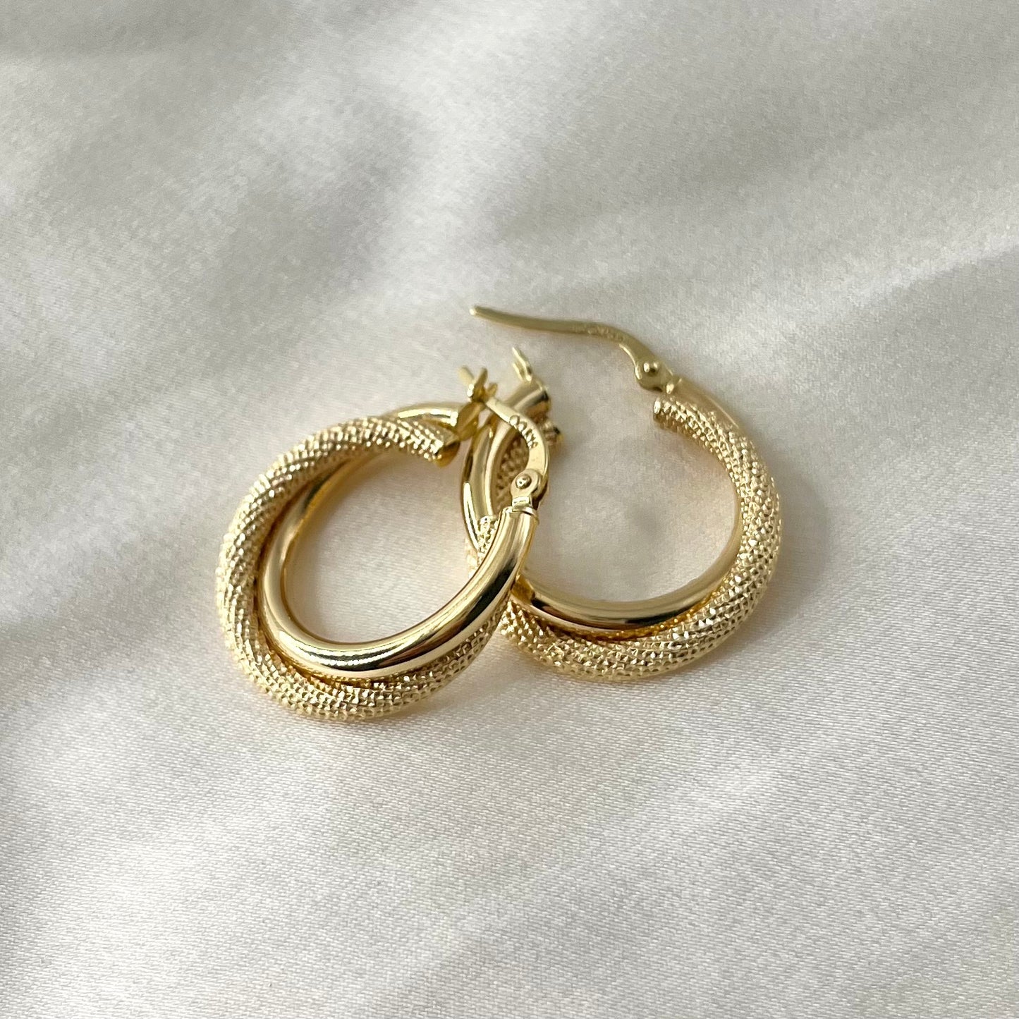 Double Hoop Earrings ER152
