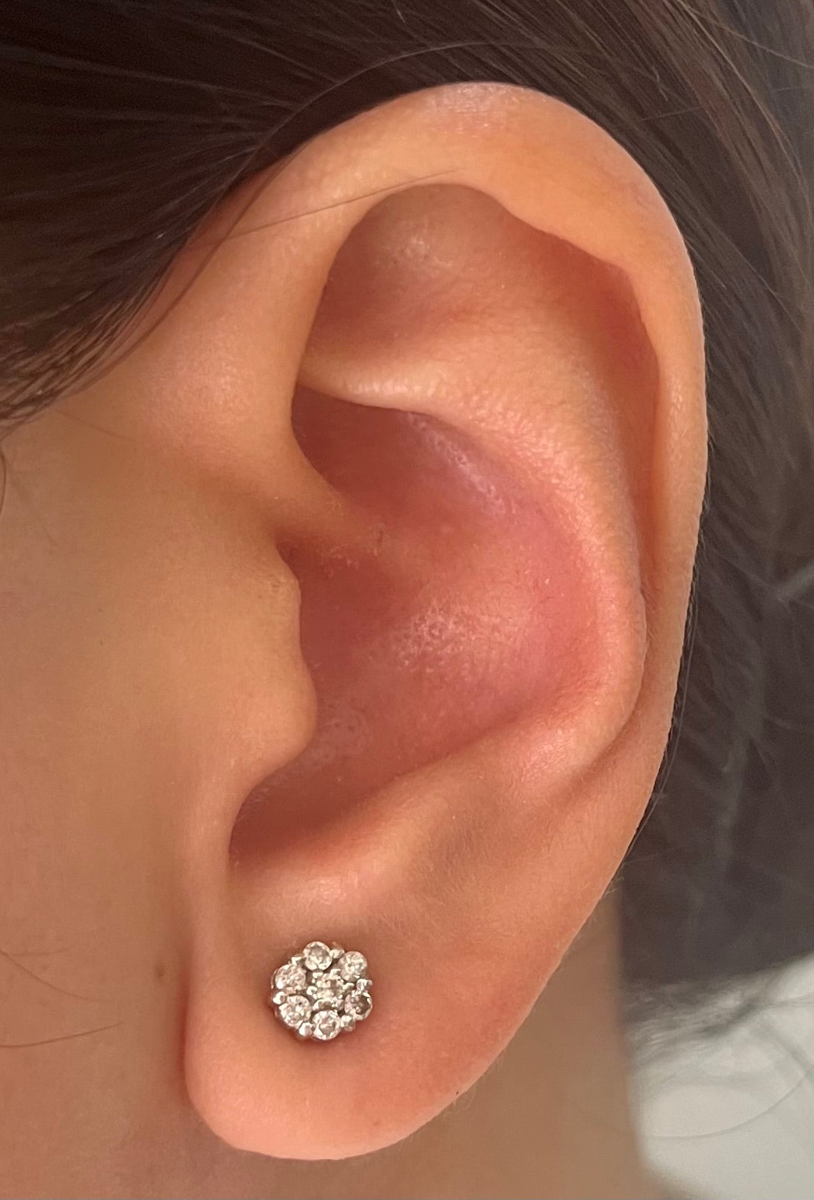 Rositas Diamond Earrings ER151