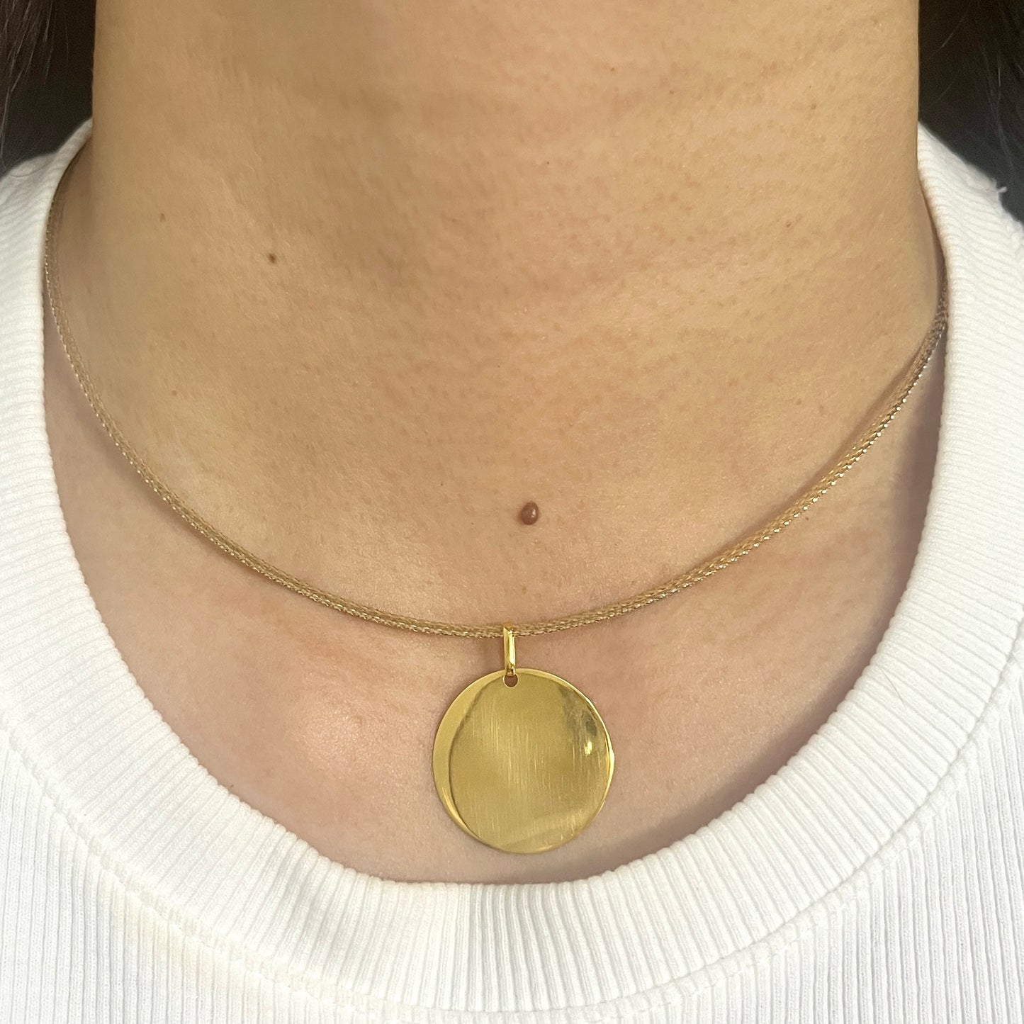 Reversible Omega Coin Necklace NL178