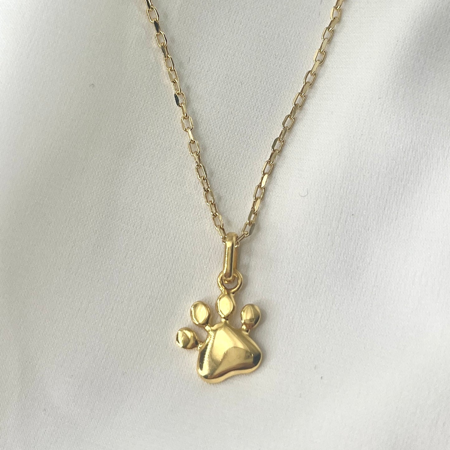 Paw Necklace NL194