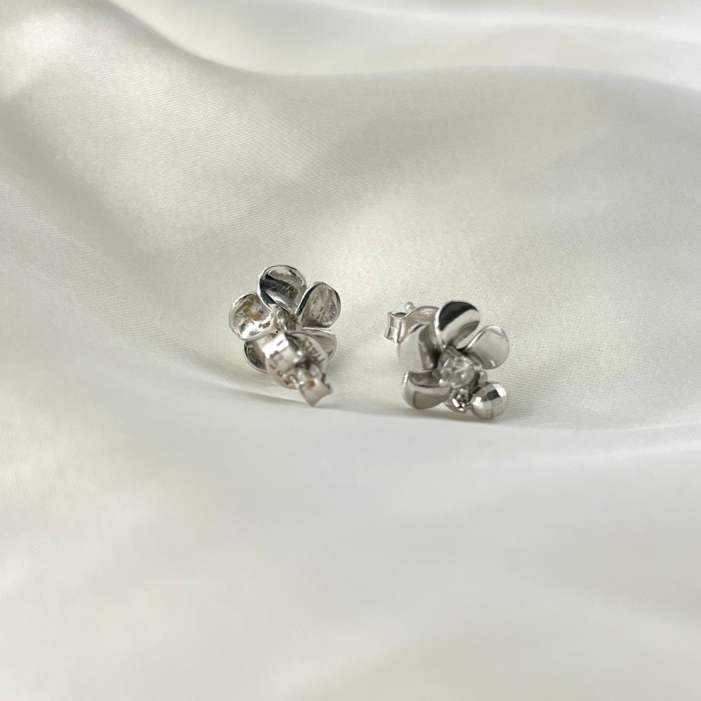 Rositas Zirconia Earrings ER071